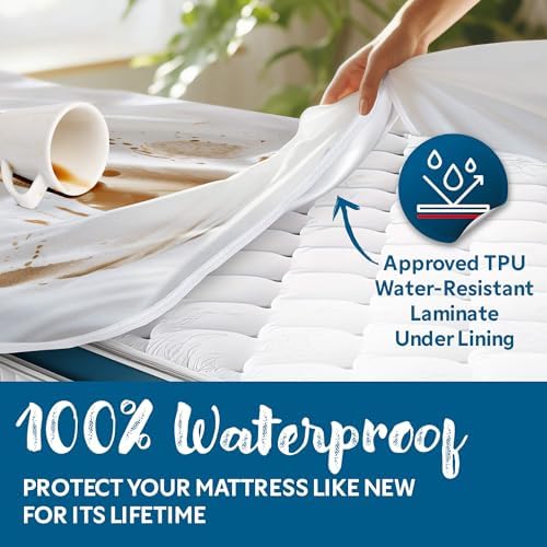 Guardmax Queen Mattress Protector Zippered, Bed Bug Mattress Cover