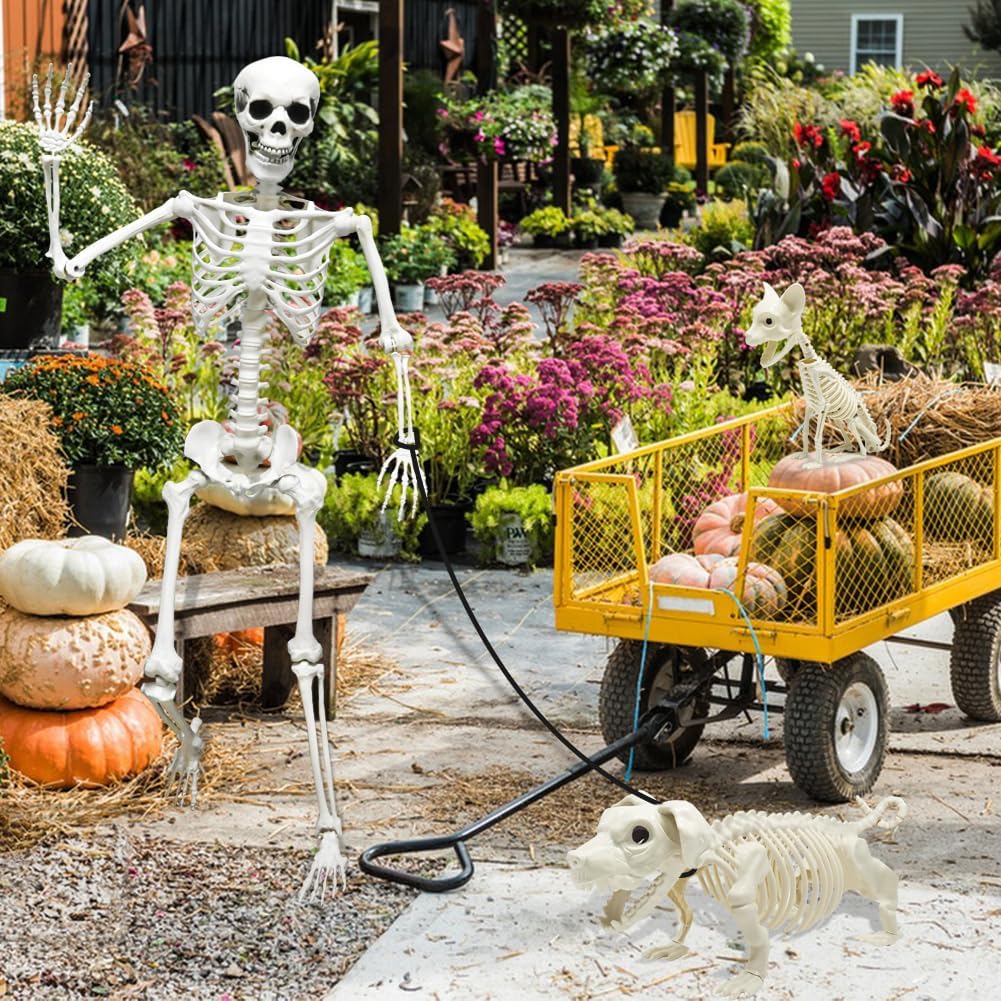 5.4ft Halloween Full Size Skeleton with Dog Cat for Haunted Party Decor
