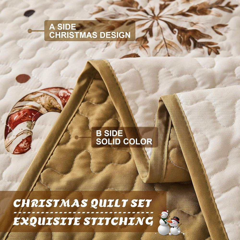 Djoymock Christmas Quilt Set Queen, Reversible Holiday Bedspread