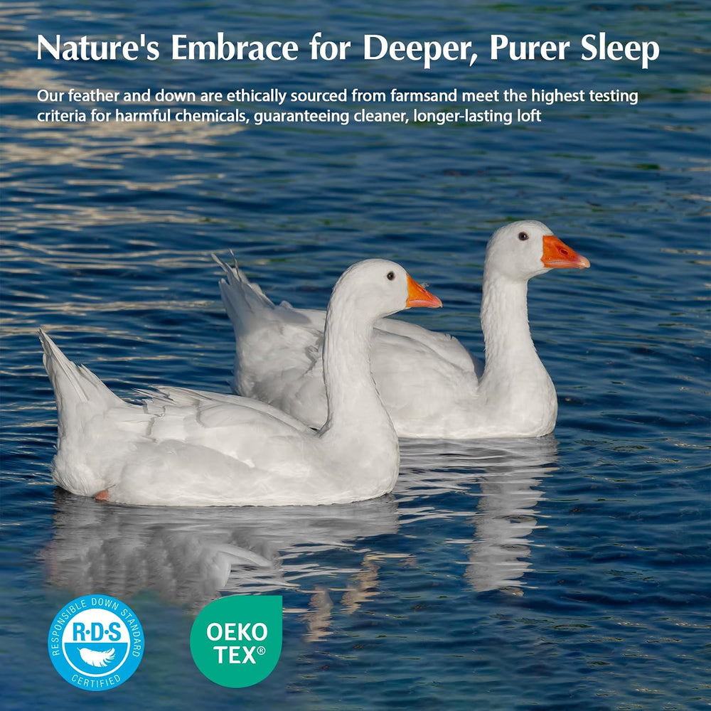 Pacific Coast Goose Feather Down Fiber Comforters King Size, Extra Fluffy Whi...