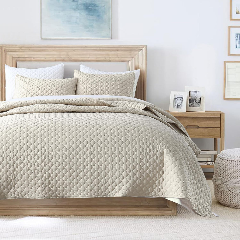 HORIMOTE HOME Quilt Set Queen Size Beige Bedspread, Modern Style Quilted Clou...