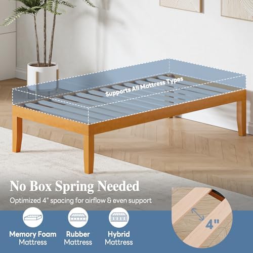 olixis 14 inch twin size bed frame, platform showing dimensions