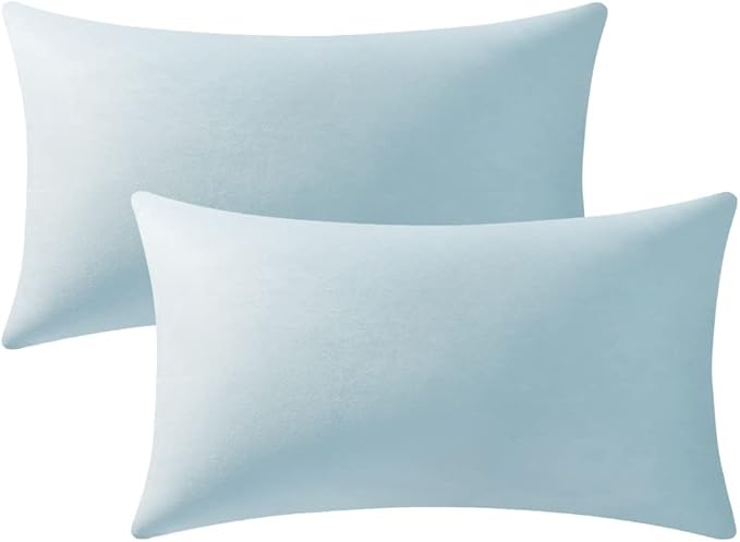 Throw Pillow Cases 12x20 Light-Blue: 2 Pack Cozy Soft Velvet Rectangular by DEZENE