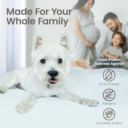 SafeRest Waterproof Mattress Protector Full Size