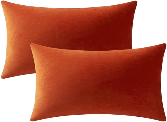 Fall Couch Pillow Cases 12x20 Burnt Orange: 2 Pack Cozy Soft Velvet Rectangular by DEZENE