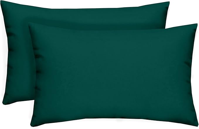 RSH DECOR: Lumbar Throw Pillows Set of 2 | 20” x 12" | All-Weather Spun Fabric by RSHDECOR