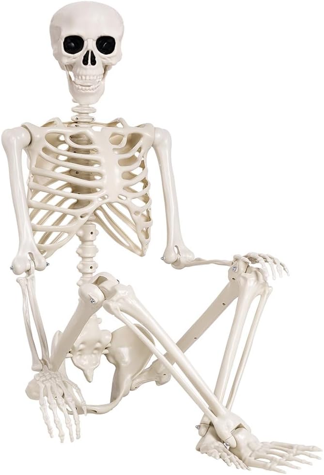 5.4 ft Halloween Skeleton - Life Size Human Skeleton with Full Body Posable Joints - Spooky Scary Plastic Skeleton for Outdoor Decoration, Halloween Party Decor, Haunted House Props