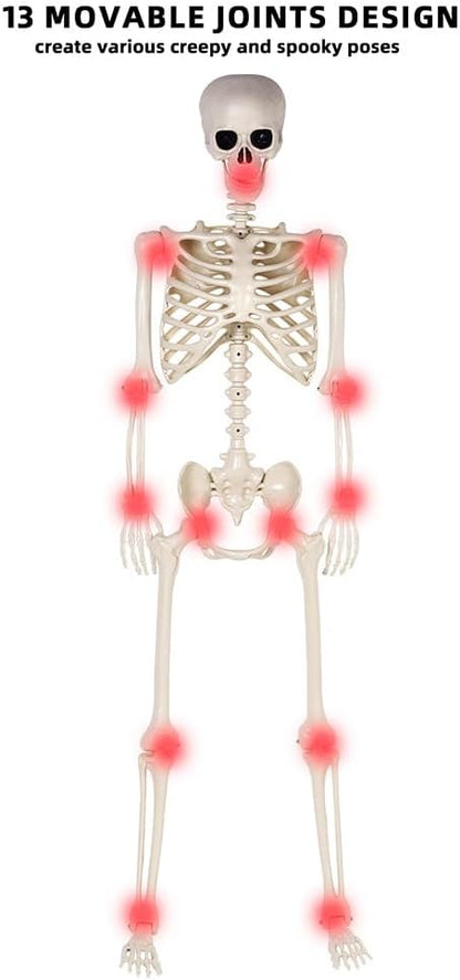 5.4 ft Halloween Skeleton - Life Size Human Skeleton with Full Body Posable Joints - Spooky Scary Plastic Skeleton for Outdoor Decoration, Halloween Party Decor, Haunted House Props