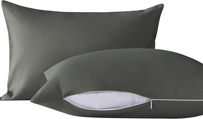 NTBAY 2 Pack Pillows with Microfiber Pillowcases, Soft Cotton Down Alternative by NTBAY