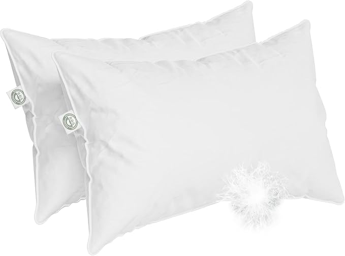 Standard Size - Set of 2 - Soft Luxury Hotel Pillow - 100% European Goose Down by EastCoastBedding