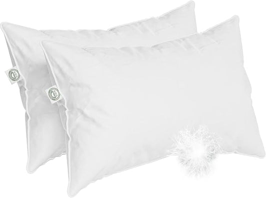 Standard Size - Set of 2 - Soft Luxury Hotel Pillow - 100% European Goose Down by EastCoastBedding