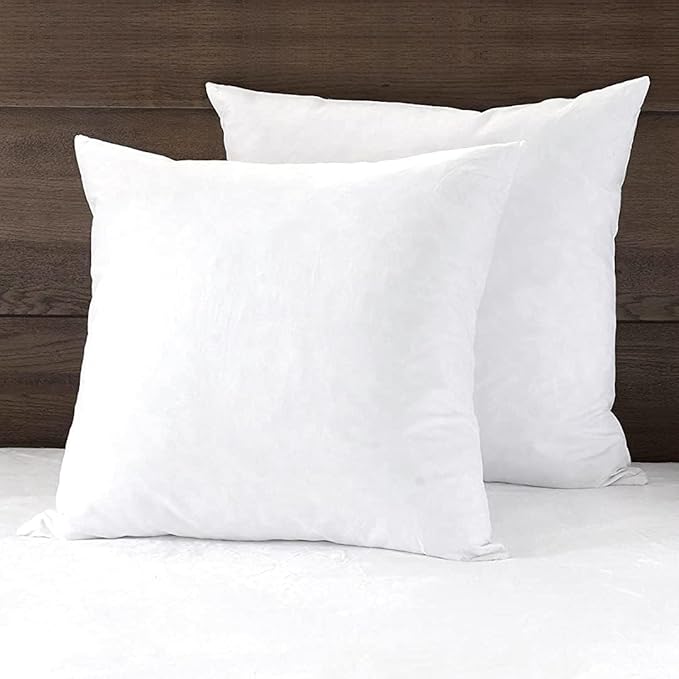 APSMILE 22x22 Down Feather Throw Pillow Inserts 2 Pack by APSMILE