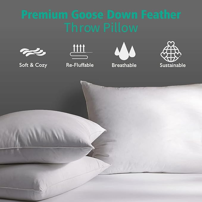 APSMILE Organic 12x20 Feather Down Throw Pillow Inserts Set of 2, 100% Cotton - Image 3