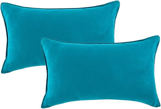 Fancy Homi 2 Packs Premium Faux Suede Decorative Throw Pillow Covers, Super by Fancy+Homi