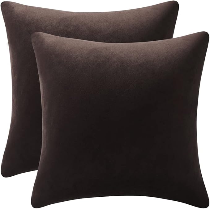 Decorative Pillow Cases 20x20 Chocolate Brown: 2 Pack Cozy Soft Velvet Square by DEZENE