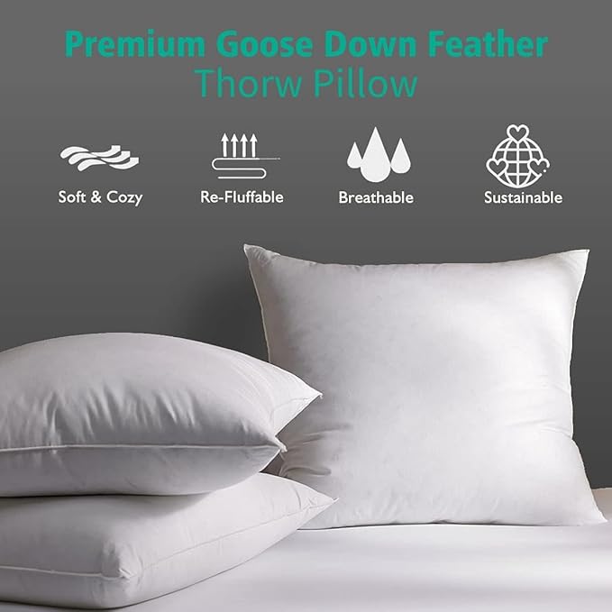 APSMILE 22x22 Down Feather Throw Pillow Inserts 2 Pack - Image 3