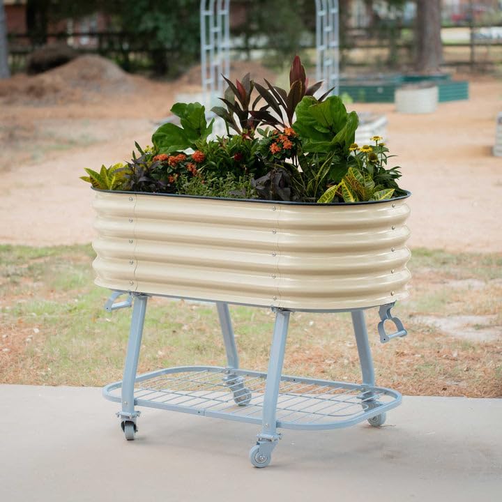 vego garden 2' x 4' raised garden bed shown in use