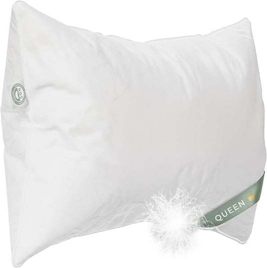 Queen Size Pillow, European Goose Down 800FP by EastCoastBedding