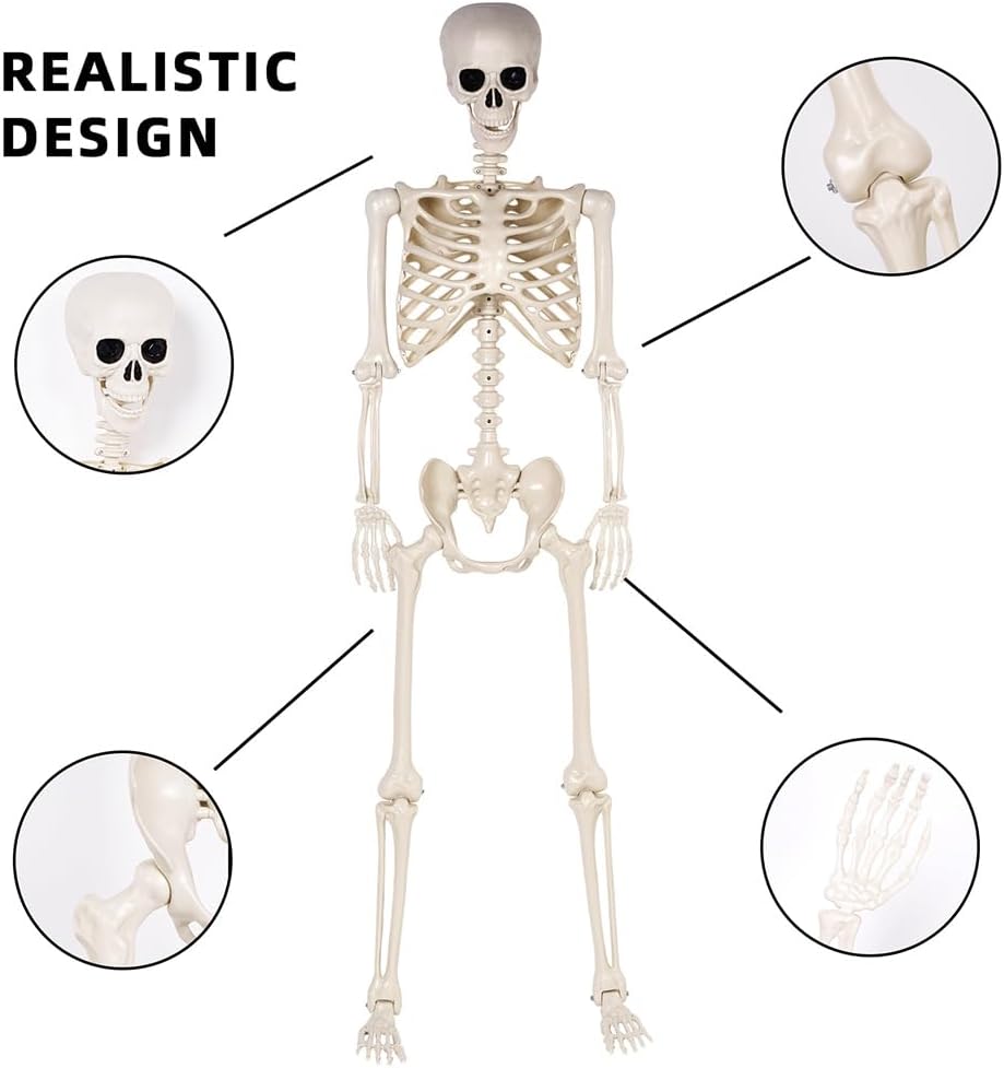 5.4 ft Halloween Skeleton - Life Size Human Skeleton with Full Body Posable Joints - Spooky Scary Plastic Skeleton for Outdoor Decoration, Halloween Party Decor, Haunted House Props