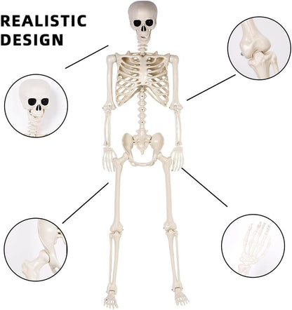 5.4 ft Halloween Skeleton - Life Size Human Skeleton with Full Body Posable Joints - Spooky Scary Plastic Skeleton for Outdoor Decoration, Halloween Party Decor, Haunted House Props