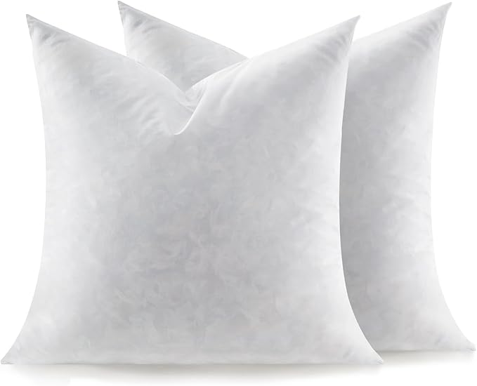 Feather Throw Pillow Inserts Set of 2, Soft Fluffy Square 20 x 20 Inches by Swandream