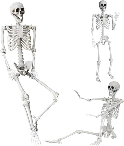 Wocst 5.4Ft/165cm Halloween Skeleton Full Body Life Size Human Bones with Movable Joints for Indoor Outdoor Halloween Props Decorations