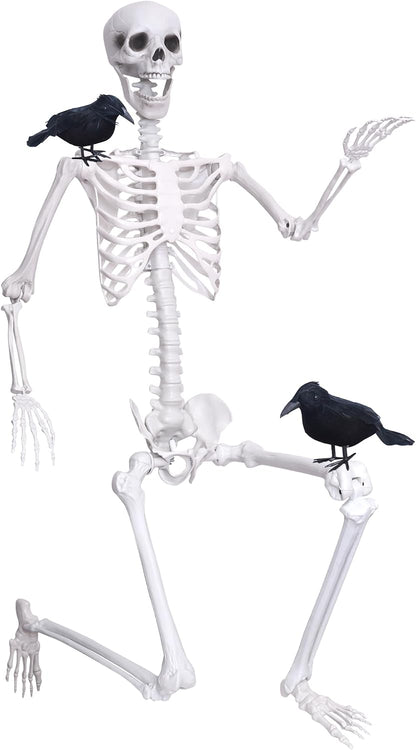Wocst 6Ft Life Size Skeleton Posable Skeleton with Movable Joints Halloween Full Body Plastic Human Bones with 2PCS Black Crows for Halloween Indoor Outdoor Decor