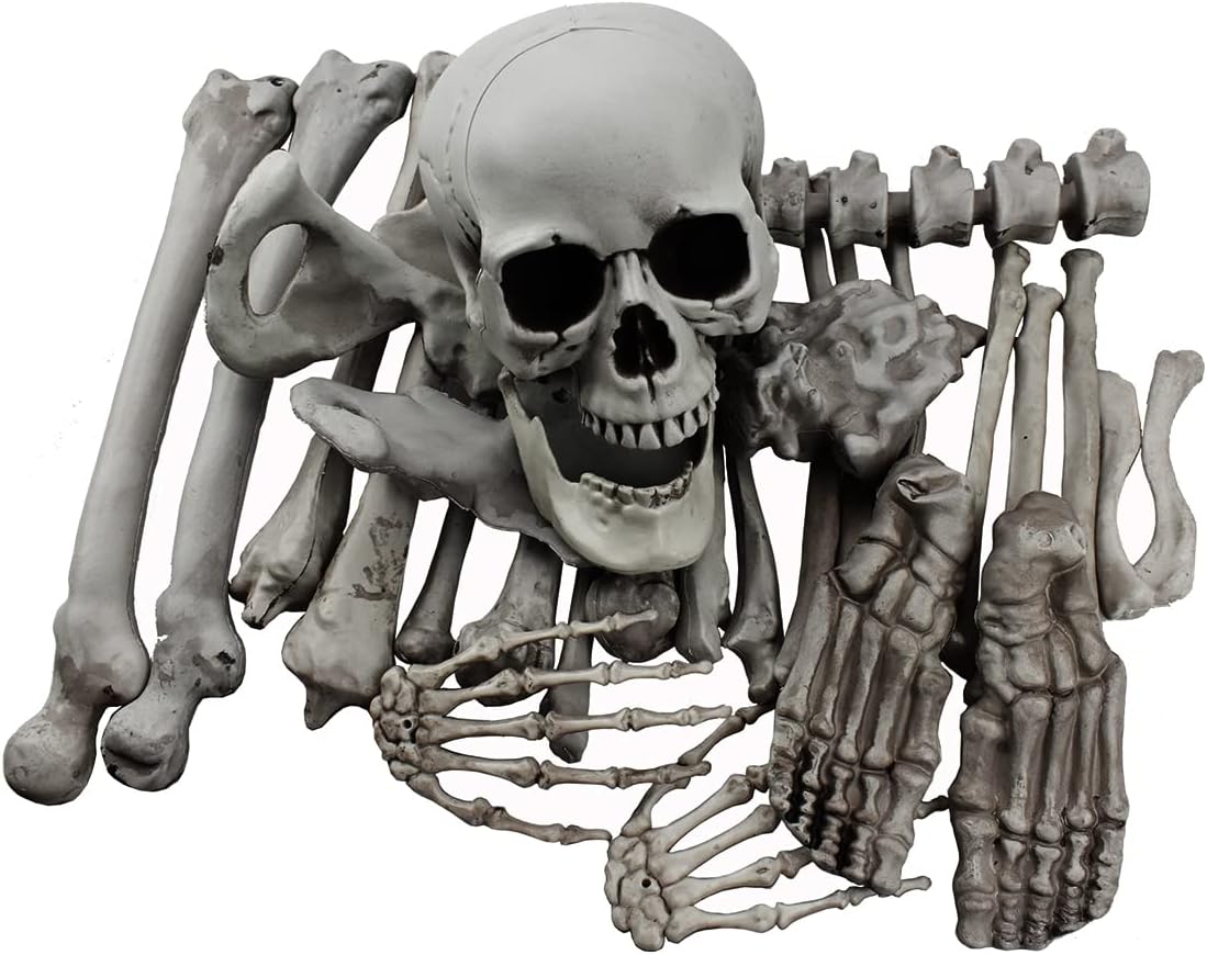 XONOR 28 Pieces Skeleton Bones and Skull for Halloween Decor or Spooky Graveyard Ground Decoration (28PCS)