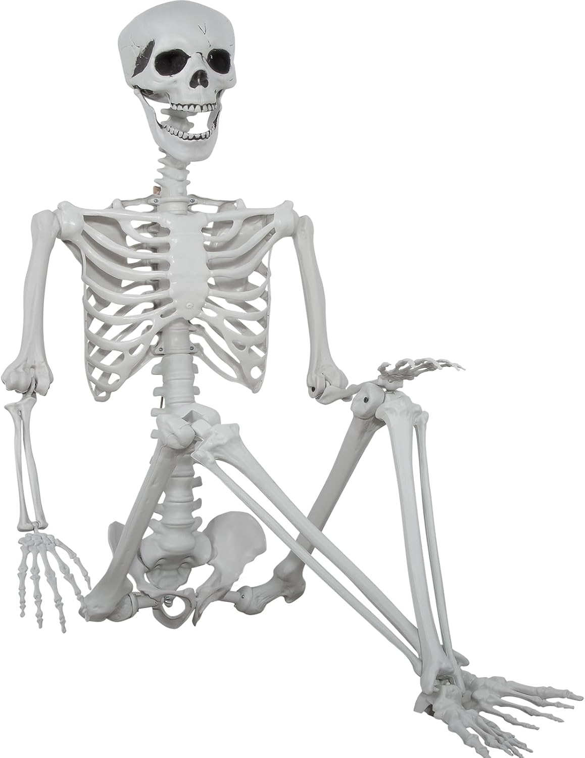 5.9ft Halloween Life Size Skeleton Realistic Full Body Skeletons Plastic Human Bones with Movable Joints for Halloween Props Spooky Party Decoration