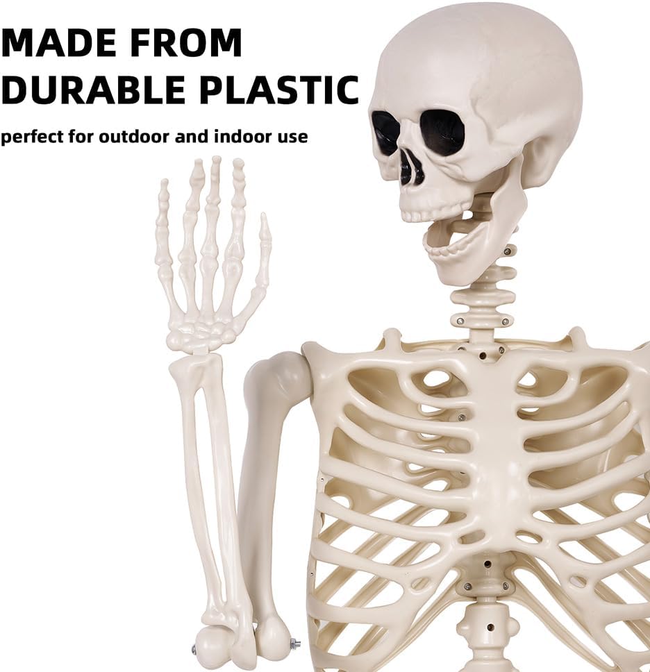 5.4 ft Halloween Skeleton - Life Size Human Skeleton with Full Body Posable Joints - Spooky Scary Plastic Skeleton for Outdoor Decoration, Halloween Party Decor, Haunted House Props
