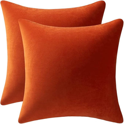 Fall Couch Pillow Cases 22x22 Burnt Orange: 2 Pack Cozy Soft Velvet Square by DEZENE