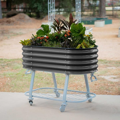 vego garden 2' x 4' raised garden bed showing dimensions