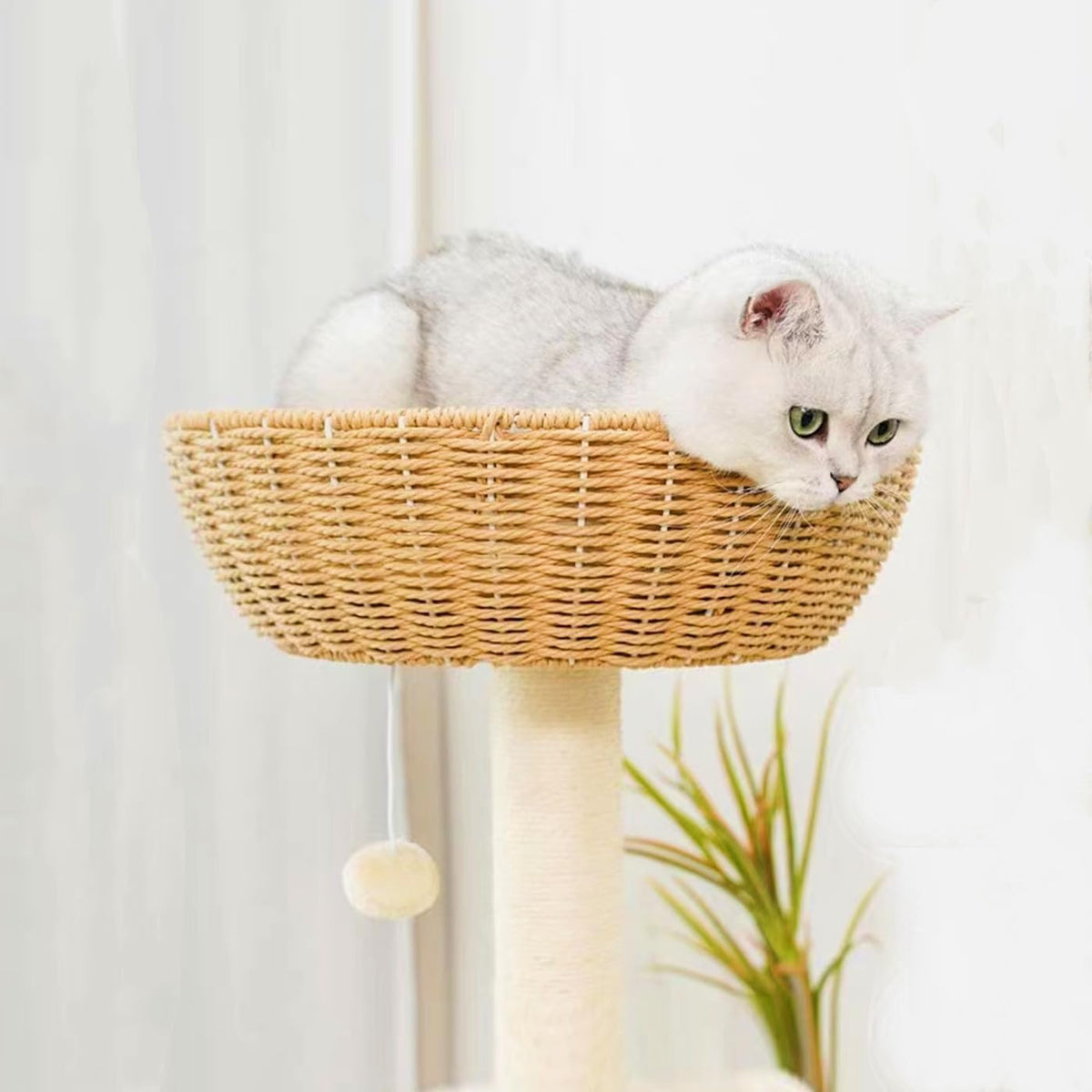 shengocase cat tree tower with rattan wicker basket shown in use