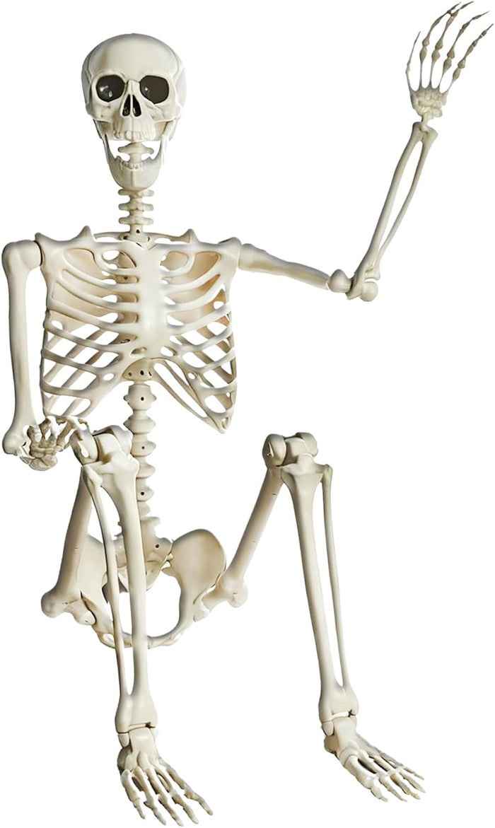 5.4FT Life Size Posable Halloween Skeleton Decorations, Full Body Realistic Plastic Skeleton with Movable Joints, Giant Props for Yard, Haunted House, Graveyard, Indoor/Outdoor Spooky Party