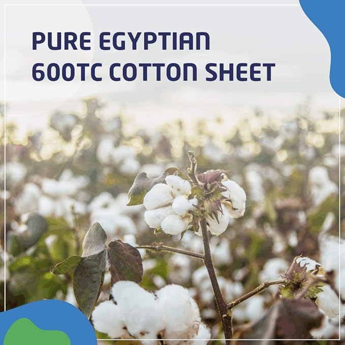 PLUSHY COMFORT Queen Sleeper Sofa Bed Sheet Set, in 100% Egyptian Cotton - Image 4