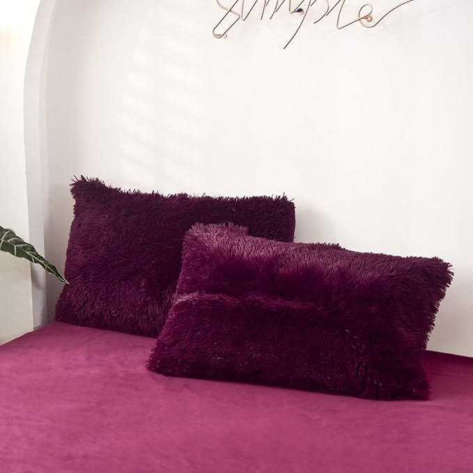 MorroMorn Decorative Pillows Covers, 2 Packs Faux Fur Pillow Cases Standard Size by MorroMorn