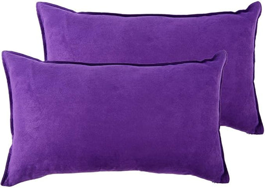 Fancy Homi 2 Packs Premium Faux Suede Decorative Throw Pillow Covers, Super by Fancy+Homi