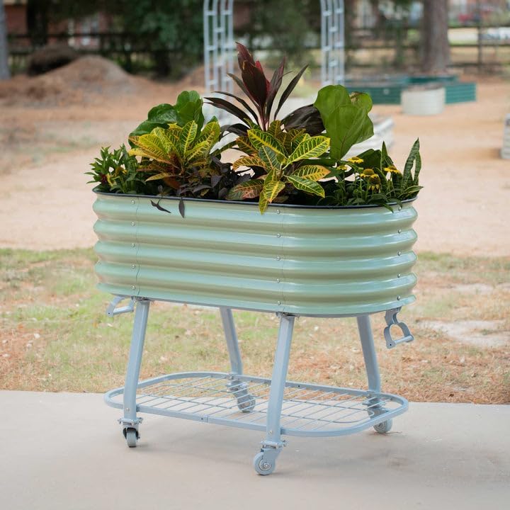 vego garden 2' x 4' raised garden bed, side view
