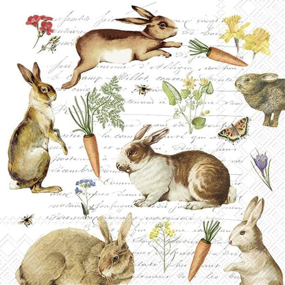 Set of TWO INDIVIDUAL *Luncheon Size* Paper Napkins by Unknown