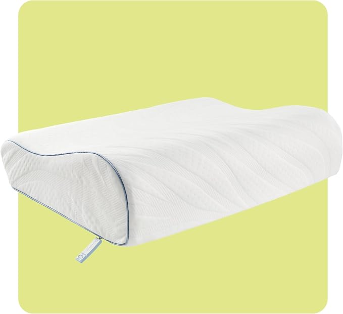 SEALY Dreamlife Standard Size Contour Memory Foam Pillow by Sealy