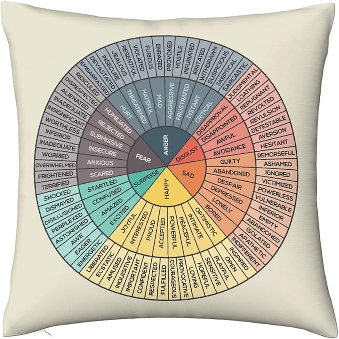 AIZAWA Wheel of Emotions Feelings Velvet Throw Pillow Covers Cozy Square Throw by Unknown