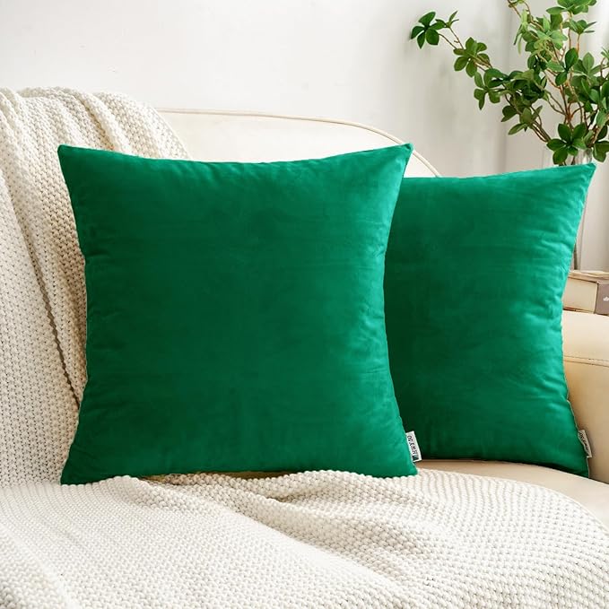 HWY 50 Dark Green Velvet Throw Pillow Covers 16x16 Inch by HWY50