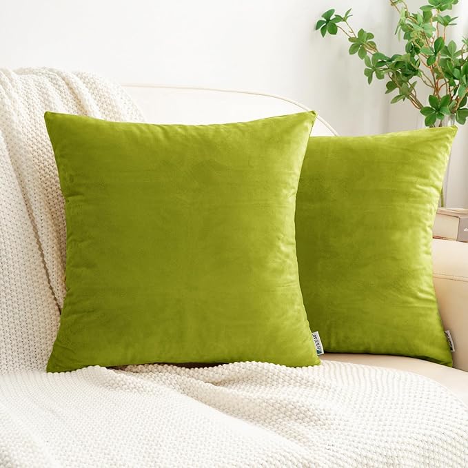 HWY 50 Leaf Green Velvet Throw Pillow Covers 16x16 Inch by HWY50