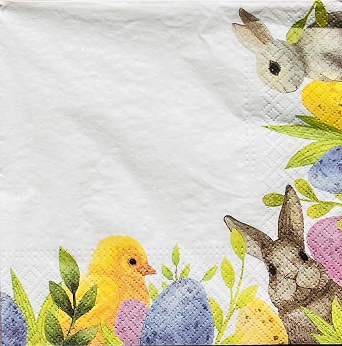 AM Decor Easter Luncheon Paper Napkins 20-Count Dinner Paper Napkins by Importer+AM