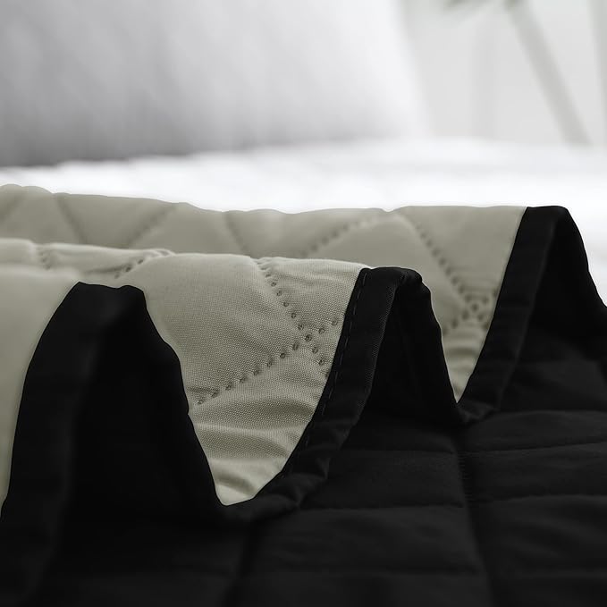 Easy-Going Twin Size Reversible Quilt Set - Image 6