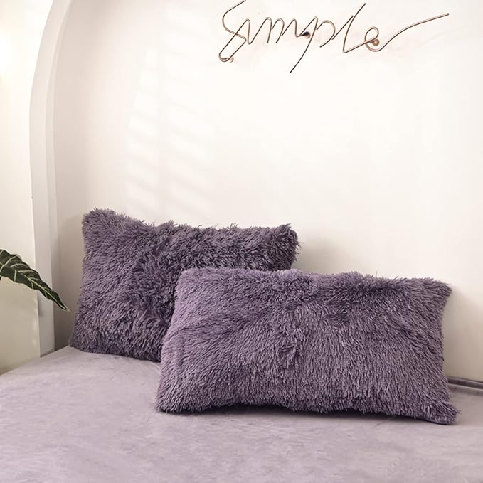 MorroMorn Decorative Pillows Covers, 2 Packs Faux Fur Pillow Cases Standard Size by MorroMorn