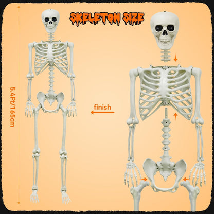 Halloween Decorations Outdoor 5.4Ft Life-Size Realistic Posable Skeleton