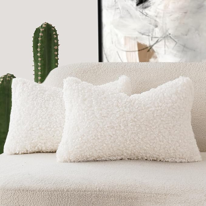 Foindtower Set of 2 Curly Teddy Wool Faux Fur Pillow Covers Decorative Boucle by Foindtower