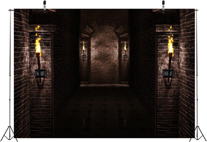 BELECO 12x10ft Fabric Gothic Castle Backdrop Ancient Black Brick Stone Wall Arches Torches Dungeon Medieval Castle Scene Halloween Night Background Medieval Party Decorations Studio Booth Photo Props