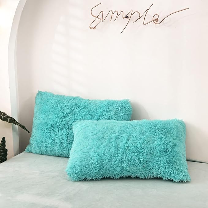 MorroMorn Decorative Pillows Covers, 2 Packs Faux Fur Pillow Cases, Luxury by MorroMorn